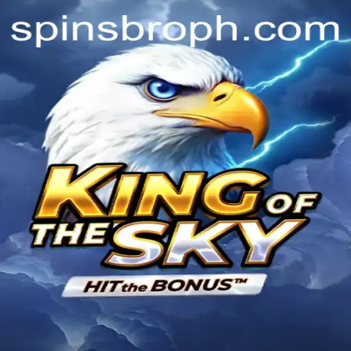 KingOfTheSky: A Comprehensive Guide to the Mesmerizing World of SpinsBro
